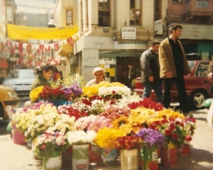 Women Selling Flowers in my Neighborhood of Besiktas, Istanbul